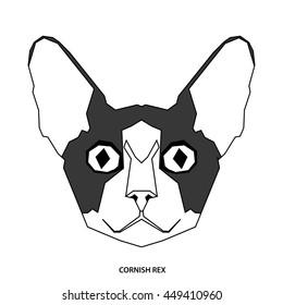 Cornish rex, Isolated cat breed, Vector illustration