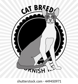 Cornish rex, Isolated cat breed, Vector illustration