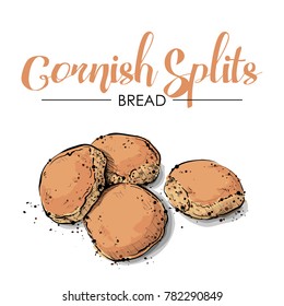 Cornish Splits bread drawing. Sketch style. Vector.