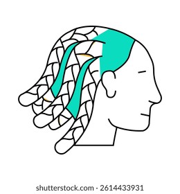cornrows hairstyle female line icon vector. cornrows hairstyle female sign. isolated symbol illustration
