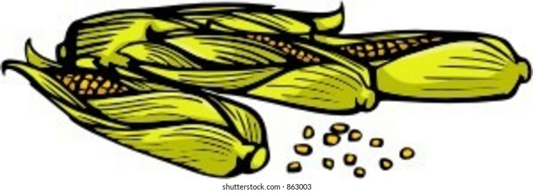 Corns. Schauen Sie in meinem Portfolio nach vielen weiteren Bildern dieser Serie.