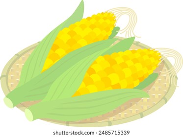 The corns isolated on white background