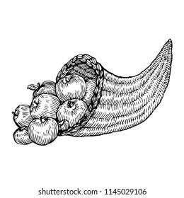 Cornucopia, cuerno de abundancia con manzanas. Esquema de tinta de ilustración de vector dibujado a mano, diseño de vintage grabado para tarjeta de saludo, página de libro de coloreado
