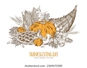 Cornucopia with pumpkin, pie, apple, leaves,corn and nuts vector illustration. Hand drawn vintage Thanksgiving card with holiday symbols. Horn with food isolated drawing.