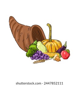 cornucopia thanksgiving drawing cartoon vector