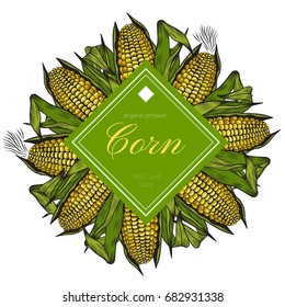 Corn.Vintage engraving. Vector label with corn on white background.Botanical engraving.