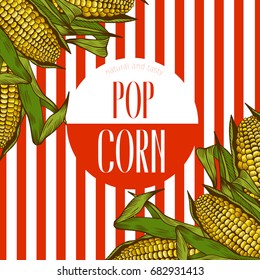 Corn.Vintage engraving. Vector label pop corn with maize.Botanical engraving.