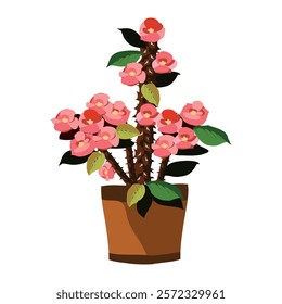 corona de cristo or crown of throwns plant with red color flowers leaves and pot clipart