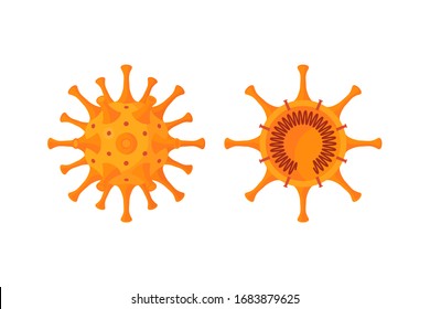 Corona Virus Cross Section Diagram. Vector Illustration Isolated On A White Background In Cartoon Style. Design For Medical Infographics, Posters, Posts Etc.