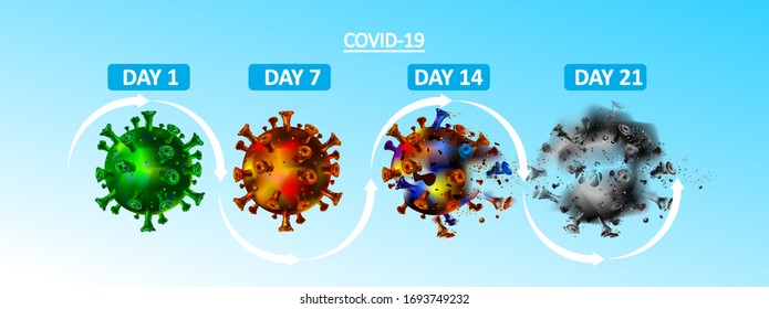 Corona virus life cycle in a days, weeks, and months. Covid-19 from life until death concept. Coronavirus is gone. - Vector