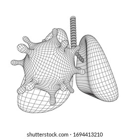 Corona Virus and Lungs with trachea bronchi internal organ human. Covid virus pulmonology medicine science concept. Wireframe low poly mesh vector illustration.