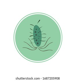 Coronavirus 2019-nCoV. China pathogen respiratory infection (asian flu outbreak). influenza pandemic. virion of Corona-virus Microscopic view of floating influenza virus cells