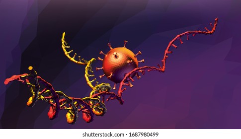 Coronavirus, 2019-ncov modifies cell DNA, low poly, vector image. Microscopic structure virus coronavirus cell