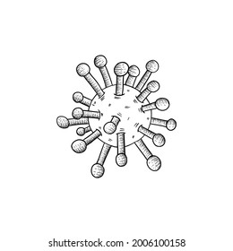 Coronavirus bacteria, Covid-19 icon vector, hand drawn, sketch style on white background.