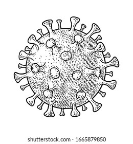 Coronavirus bacteria. Engraving vintage vector black illustration. Isolated on white background