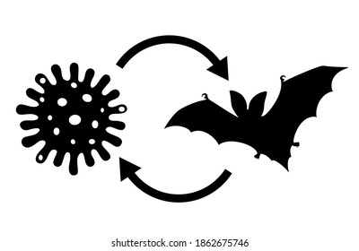 Coronavirus came from bats vector illustration on white background