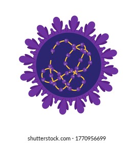 Coronavirus cell structures and anatomy. Labeled with morphology of proteins, ribosomes, RNA, and cell envelope, cover-19
