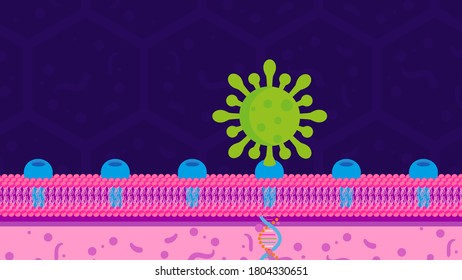 Coronavirus Cells or Bacteria Molecule. Virus  Cell in Spherical Shape with Long Antennas. Vector flat Illustration COVID-19 spread into the cells of the airways and lungs and connecting to the cell 