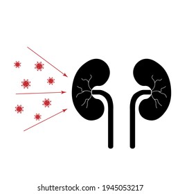 Coronavirus, Covid-19 attack kidneys. Simple flat illustration
