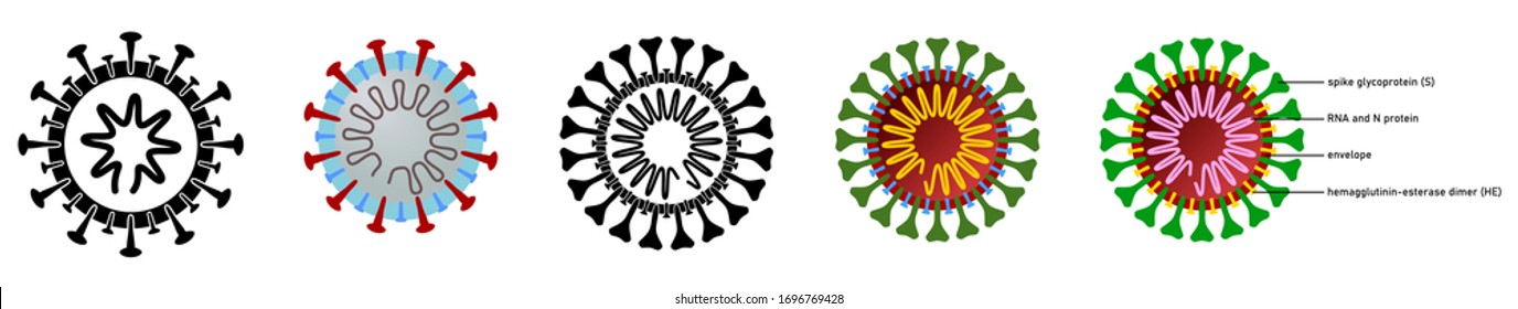 Coronavirus (covid-19 disease) drawing with structure explained, black, white and colour versions