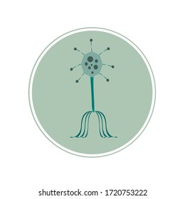 Coronavirus, covid-19, virus transparent, coronavirus illustration, coronavirus vector, virus design