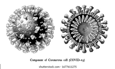  Enfermedad Coronavirus 2019