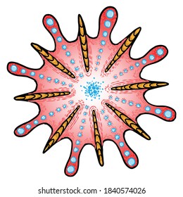 Coronavirus disease Covid 19 infection, pathogenic organism with DNA or RNA in the middle, art drawing. Infectious agent or contagious respiratory pathogen influenza. Virus cell vector. 