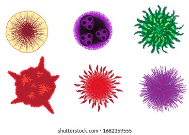 Coronavirus disease COVID-19 infection medical isolated. Coronavirus disease named COVID-19, EPS.file