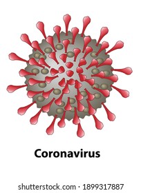 Coronavirus illustration. External structures of the Coronavirus virion of Covid 19, close up with a white background.