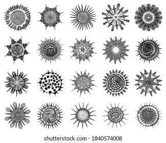 Coronavirus pathogen organism cells and infectious agents or contagious germs bacteria. 2019-nCoV, Covid-2019, Covid-19 Viral Novel Corona virus with DNA or RNA, artist interpretation drawing. Vector.