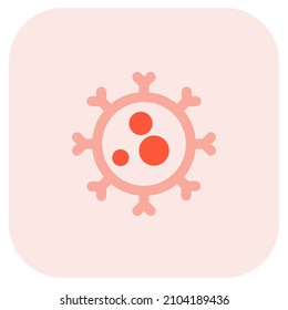 Coronavirus in structure with a bacterial host Layout