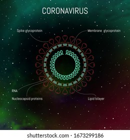 Coronavirus virus structure with proteins, membrane and RNA. COVID-19 influenza flu stain pandemic medical infographic with disease cell as line art illustration.2019-nCoV Wuhan respiratory syndrome