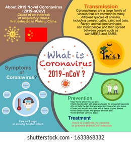 Coronavirus.What is coronavirus?.About 2019 Novel Coronavirus (2019-nCoV).Chinese virus.Wuhan coronavirus.