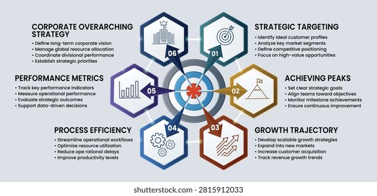 Corporate business infographic with hexagon process diagram analytics strategy workflow and performance metrics isolated on white background editable vector template for presentations reports and planning.