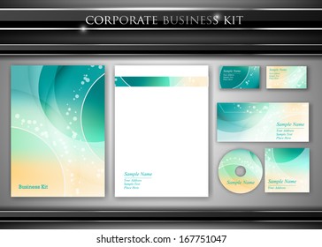 Corporate identity kit or professional business. Includes CD Cover, Business Card, Envelope and Letter Head Designs. Vector