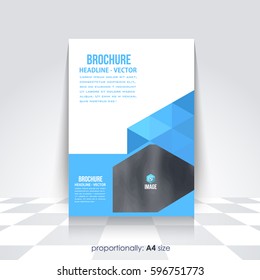 Corporate Leaflet, Textbook Cover. Image Add Feature Print Ready Business Pamphlet Design, Multicolored Brochure, Booklet Template. A4 Flyer Document and Vector Background