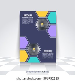 Corporate Leaflet, Textbook Cover. Image Add Feature Print Ready Business Pamphlet Design, Multicolored Brochure, Booklet Template. A4 Flyer Document and Vector Background