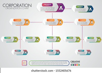 Corporate organisation chart template with business people icons. Vector modern infographics and simple with profile illustration. Corporate hierarchy and human model connection.