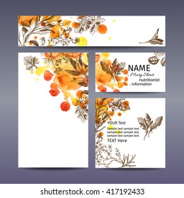 Corporate style - herbs. Vector background sketch herbs including Bay leaf, dill, thyme, sage, rosemary, Basil, parsley, and arugula. Corporate identity, branding.