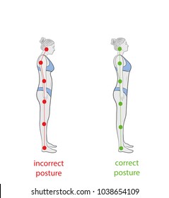 Upright Posture Vector Vector Art & Graphics