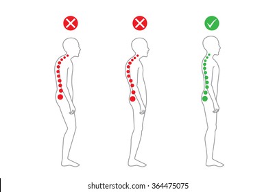 Correct position posture when working Royalty Free Vector