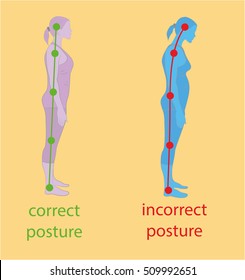 Correct alignment of human body in standing posture for good personality and healthy of spine and bone. Health care and medical illustration