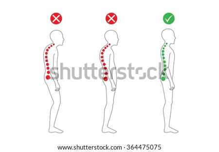 Correct alignment of human body in standing posture for good personality and healthy of spine and bone. Health care and medical illustration