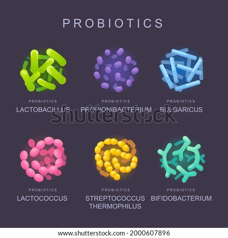 Correct bacterial microflora. Beneficial bacteria, intestinal probiotics, microorganisms for human health.