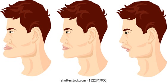 
Correct bite in a man. Incorrect bite in a man. Man on white background