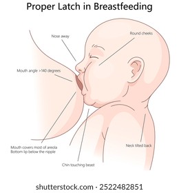 correct breastfeeding latch technique for optimal baby feeding, key positioning and alignment details diagram hand drawn schematic vector illustration. Medical science educational illustration