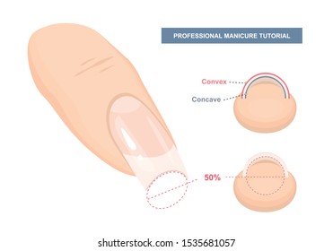 Correct C-curve. Manicure Tutorial. Nail Extension Guide. Tips and Tricks. Vector Illustration