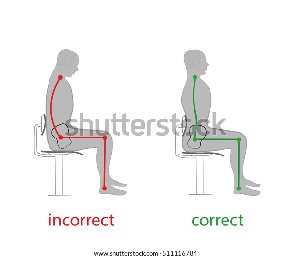 Correct Posture Spine Pelvis Position When Stock Vector Royalty