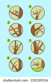 The correct scheme of spring pruning. Places cutting secateurs and garden saw old, sick, curves, broken and extra branches Vector illustration EPS10