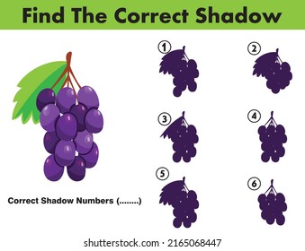 Correct Shadow Educational Matching Game With Fun Character. Logic Games For Kids. Learnig Card For Child Kindergarten Or School.
